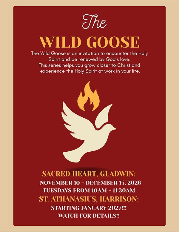 The Wild Goose Flyer