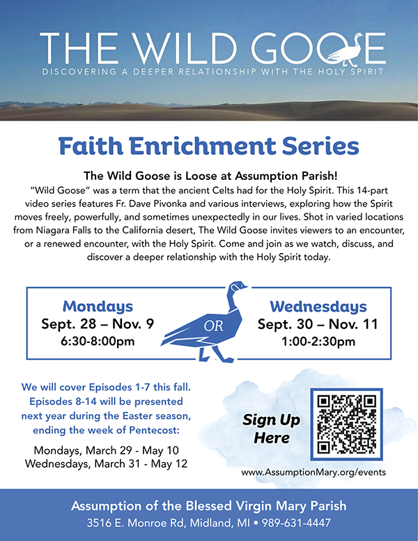 The Wild Goose Flyer