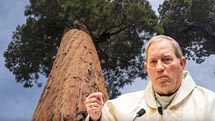 Bishop Gruss with Sequoia Tree