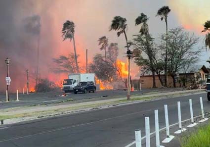 Maui Fire