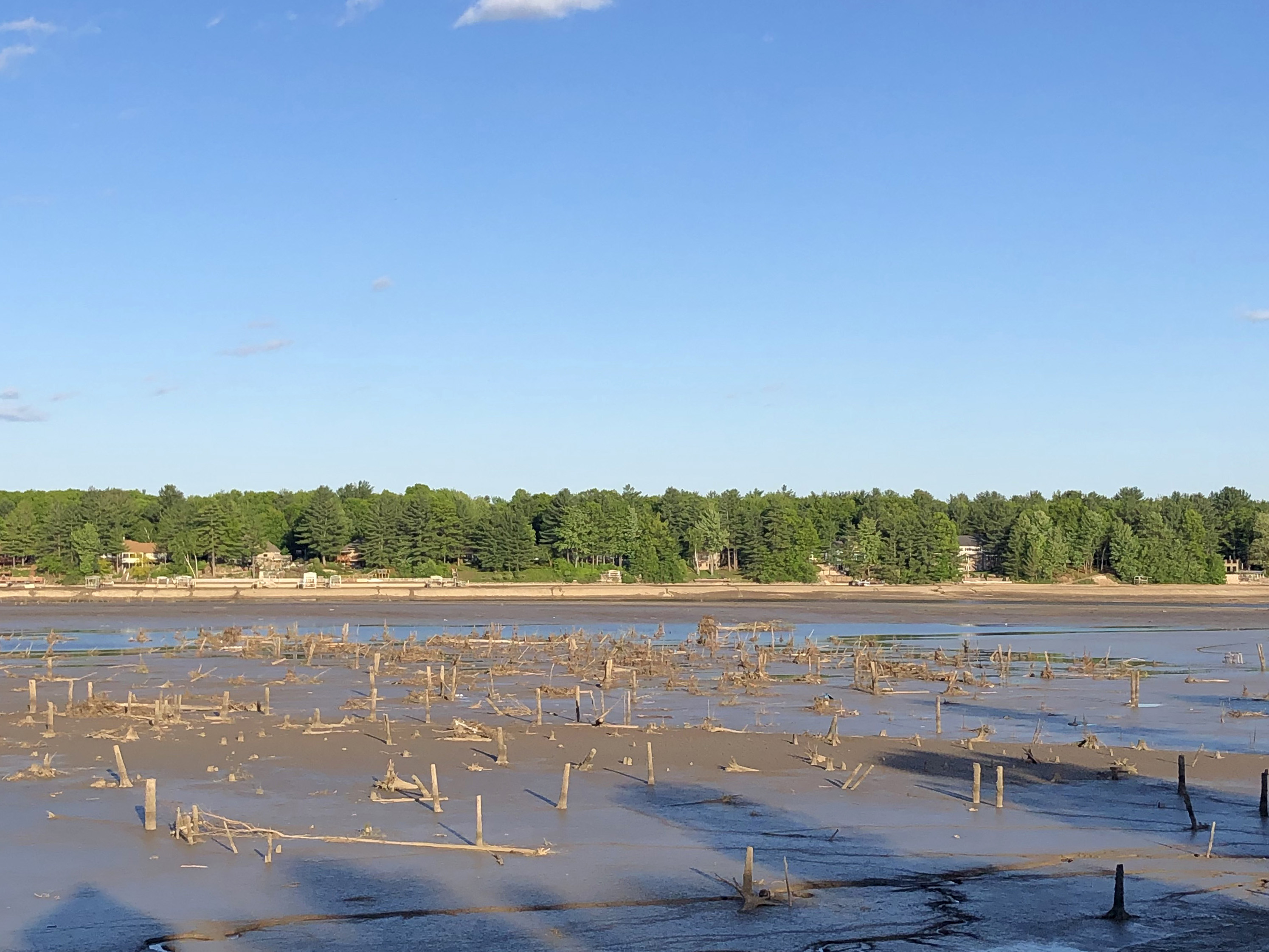 Sanford Lake is empty with tree stumps sticking out of mud.