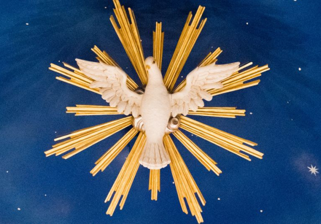 Holy Spirit From The Cathedral of Mary of the Assumption Dome