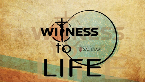 Witness to Life Logo