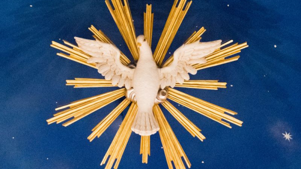 Holy Spirit From The Cathedral of Mary of the Assumption Dome