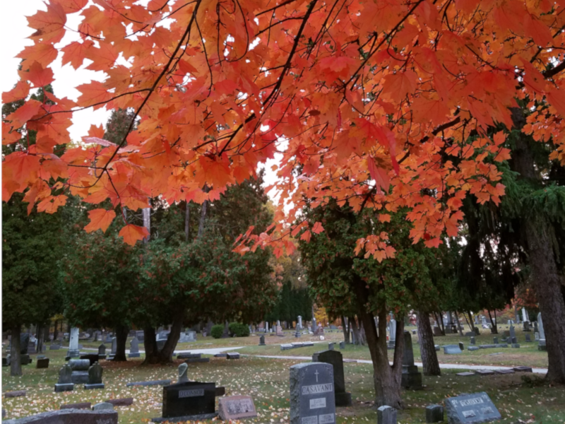 Calvary Photo