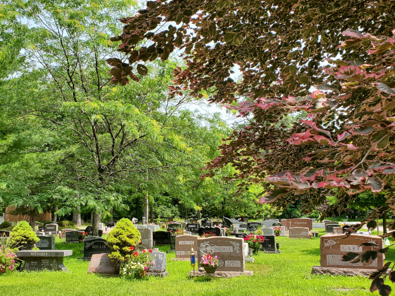 Calvary Photo