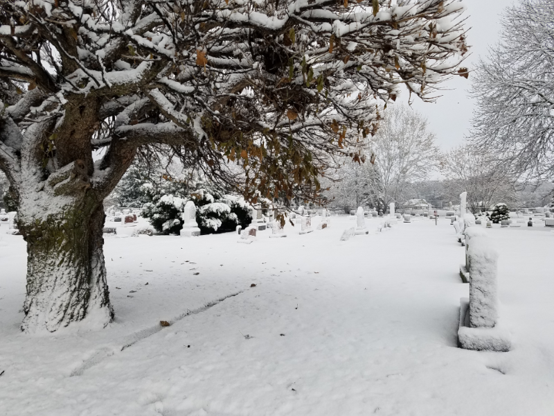 St. Stanislaus Photo