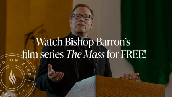 Bishop Barrons The Mass
