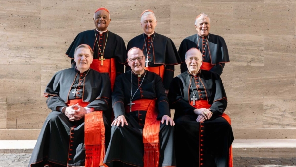 U.S. Cardinals Wilton D. Gregory, Blase J. Cupich, Daniel N. DiNardo, Joseph W. Tobin, Timothy M. Dolan, Robert W. McElroy